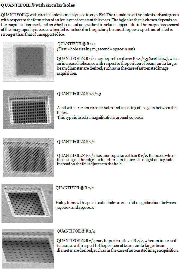 holelycarbon1
