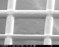 quantifoil-flat-carbon-film1